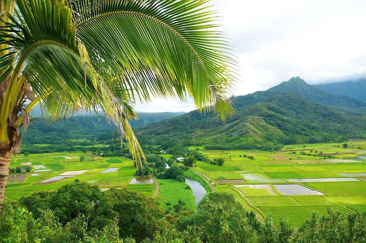 Waipouli Beach Resort Beautiful Luxury Ground Level Garden View Ac Pool! Kapa'a Eksteriør bilde