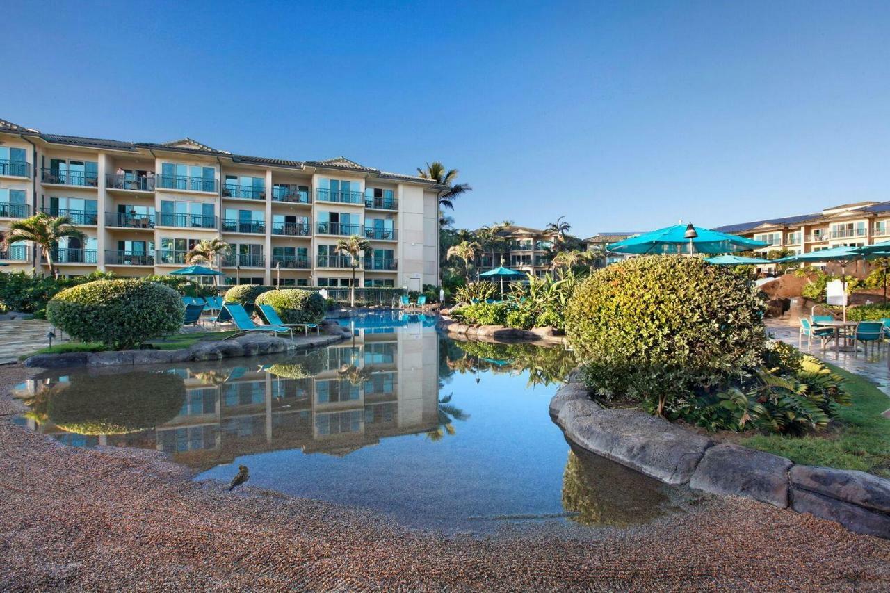 Waipouli Beach Resort Beautiful Luxury Ground Level Garden View Ac Pool! Kapa'a Eksteriør bilde